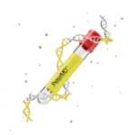 T3 | Free Blood Test